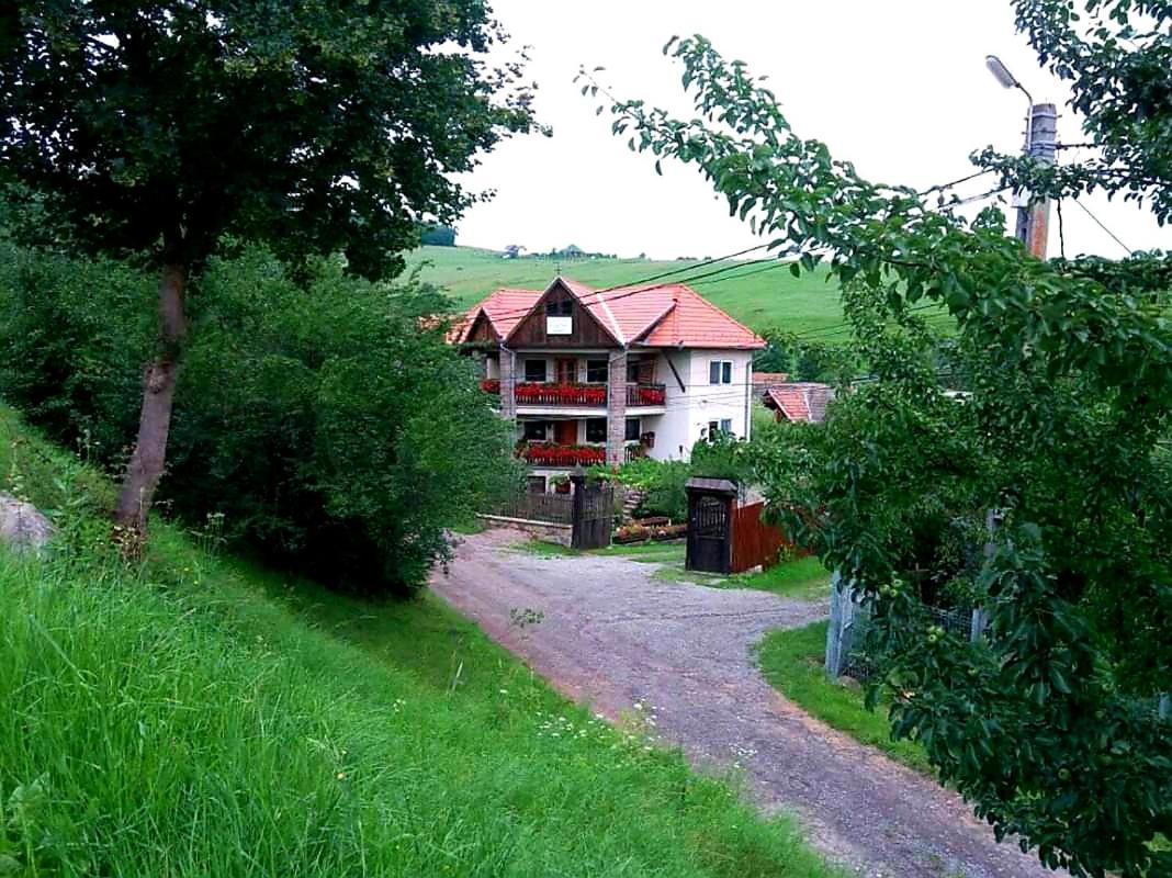 Pensiunea Bordás Panzió Sfântu-Gheorghe Exterior foto