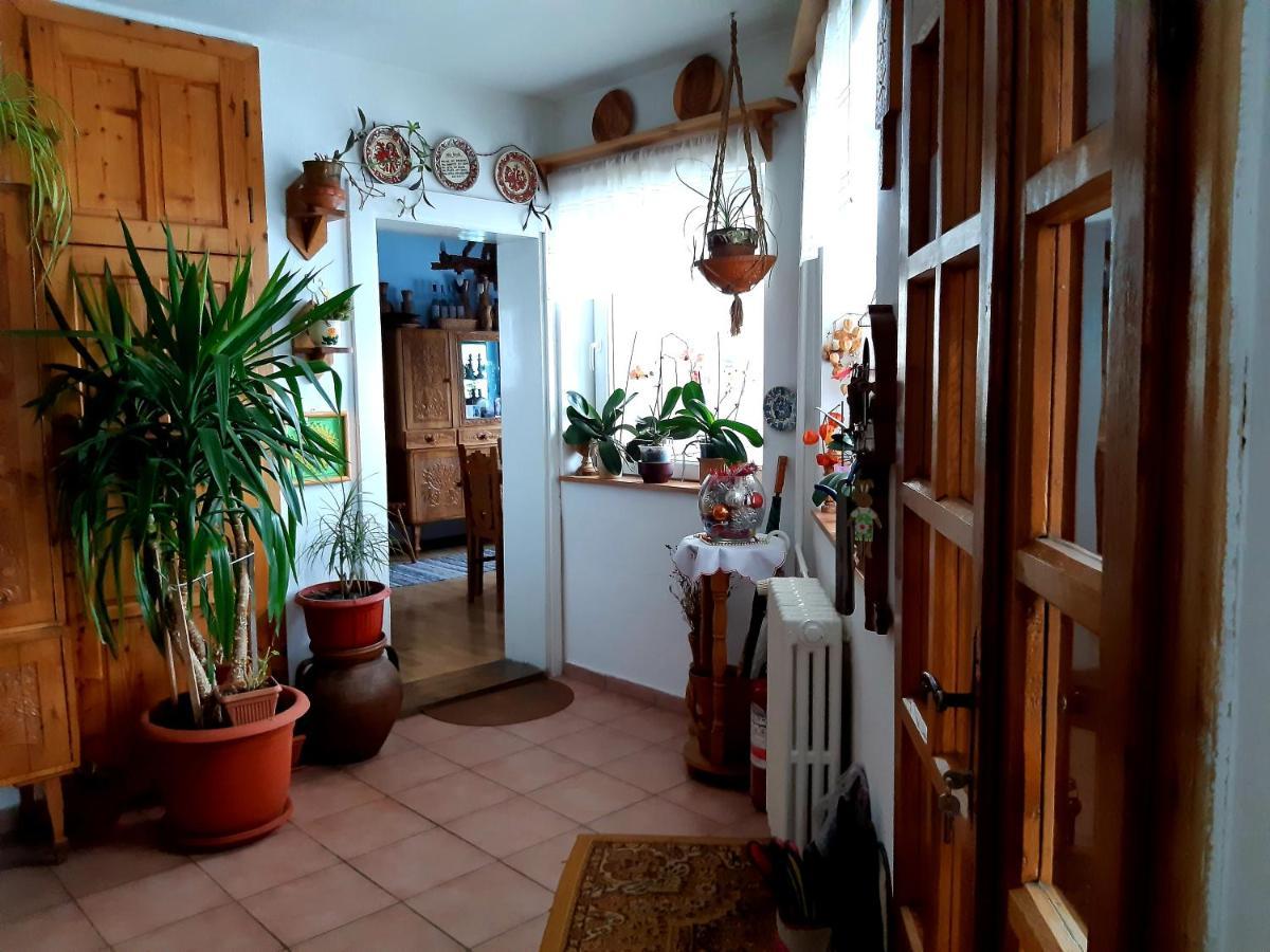 Pensiunea Bordás Panzió Sfântu-Gheorghe Exterior foto