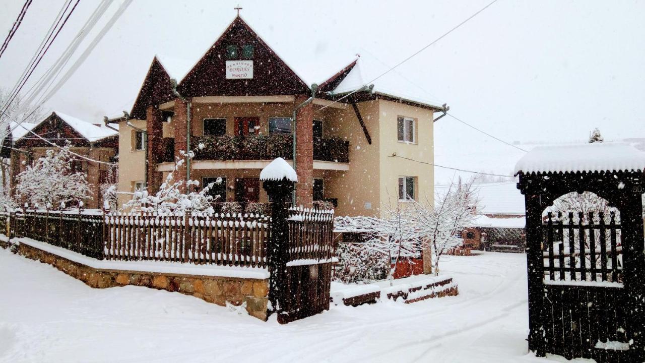 Pensiunea Bordás Panzió Sfântu-Gheorghe Exterior foto