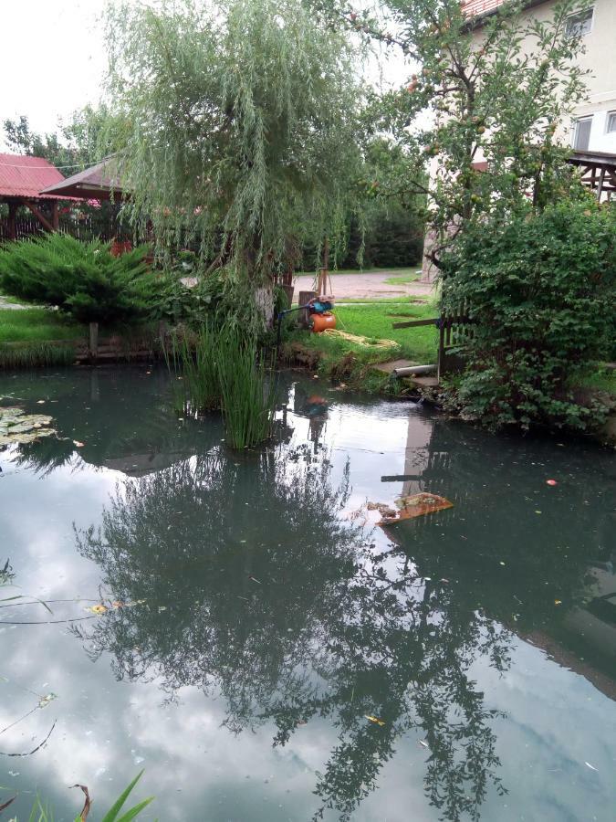 Pensiunea Bordás Panzió Sfântu-Gheorghe Exterior foto