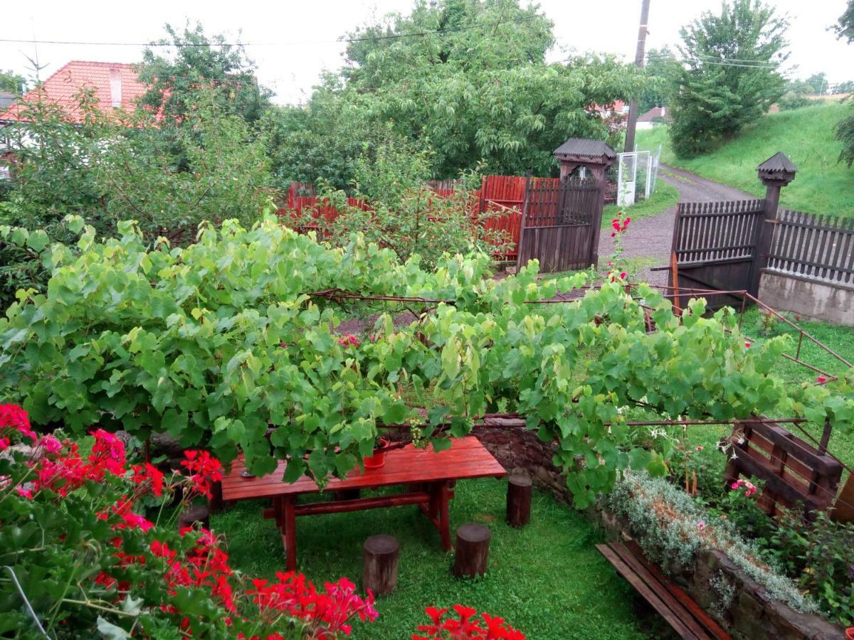Pensiunea Bordás Panzió Sfântu-Gheorghe Exterior foto