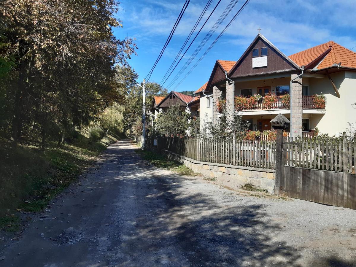 Pensiunea Bordás Panzió Sfântu-Gheorghe Exterior foto